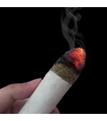 Moxa traditionala, naturala, baton, cu fum, concentratie 20:1 