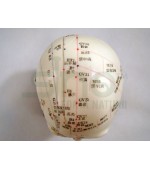Mulaj studiu acupunctura bust (cod S7)