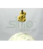 Set 10 bucati-Suport de moxa pentru ac - simplu (M35)