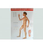 Acupuncture points map set female (code H02)