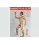 Acupuncture points map set male (code H11)