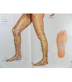 Acupuncture points map set male (code H11)
