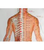 Acupuncture points map set male (code H11)