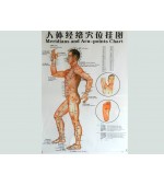 Acupuncture map set - male (code H12)