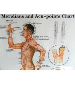 Acupuncture map set - male (code H12)