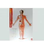 Acupuncture points map set female - small size (code H13)