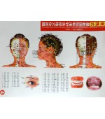 Acupuncture points map set female - small size (code H13)
