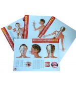 Acupuncture points map set female - small size (code H13)