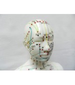 Mulaj studiu acupunctura femeie 48 cm (cod S13)