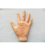 Hand study model for acupuncture (code S01)