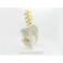 Pelvis cu 5 vertebre lombare - marime naturala (cod S22)