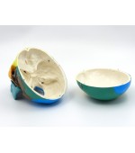 Human skull with colored bones (code S25)