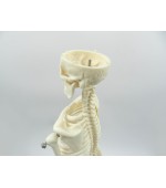 Human skeleton - 45 cm (code S26)