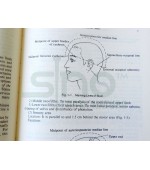 Scalp Acupuncture and Clinical Cases (cod C107)