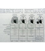 TEXTBOOK OF DIAGNOSTICS (code C94)