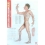 Set planse acupunctura corp barbat - dimensiune mica (cod H13-1)