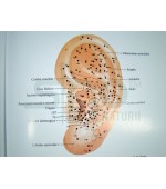 Acupuncture China`s wonder therapy (cod C74)