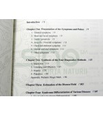 The ten stages of Diagnostics and Therapeutics in TCM (cod C56)