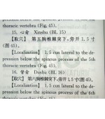 Chinese- English Illustrated Acupoints Manual (cod C10)