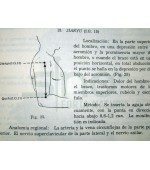Fundamentals of acupuncture and Moxibustion of China (code C58)