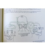 Chinese Qigong Acupressure Therapy (cod C111)