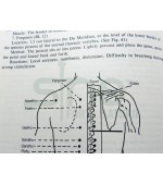 Chinese Acupressure Therapy (cod C88)