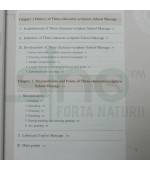 Three-Character-Scripture School Pediatric Massage (cod C33)