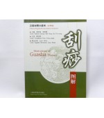 Illustration of Guasha Therapy -pocket edition (code C27)