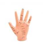 Hand study model for acupuncture (code S01)