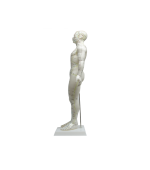 Mulaj de studiu acupunctura barbat 50 cm (cod S09)