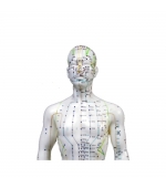 Mulaj studiu acupunctura barbat 60 cm (cod S10)