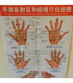 Board for hand reflexology and acupuncture (code H6)
