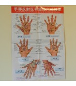 Board for hand reflexology and acupuncture (code H6)