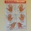 Board for hand reflexology and acupuncture (code H6)