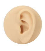 Mulaj studiu, ureche, silicon, marime naturala, stanga, cu suport din plastic (cod S43)